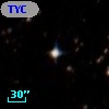 TYC 7686-537-1