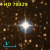 NLTT 21004