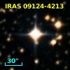 IRAS 09124-4213