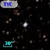 TYC 7689-903-1