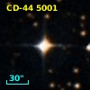 CD-44  5001