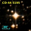 CD-44  5195