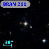 BRAN 211