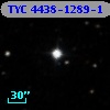 TYC 4438-1289-1