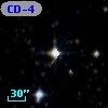 CD-44  4919