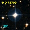HD  75709