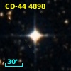 CD-44  4898