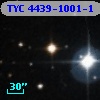 TYC 4439-1001-1