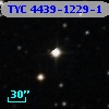 TYC 4439-1229-1