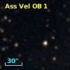 Ass Vel OB   1-