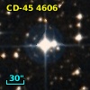 CD-45  4606