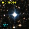 HD  75064