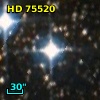 HD  75520