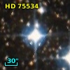HD  75534