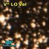 V* LO Vel