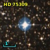HD  75309