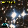 HD  73919