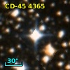 CD-45  4365