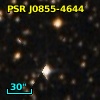 PSR J0855-4644