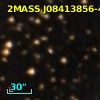 2MASS J08413856-4614331