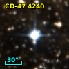 CD-47  4240