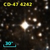 CD-47  4242