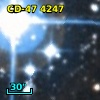 CD-47  4247