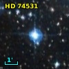 HD  74531