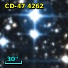 CD-47  4262