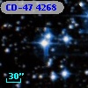 CD-47  4268