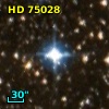 HD  75028