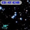 CD-47  4249