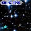 CD-47  4266