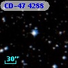 CD-47  4288
