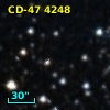 CD-47  4248