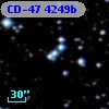 CD-47  4249b