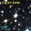 CD-47  4256