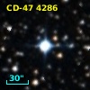 CD-47  4286