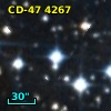 CD-47  4267
