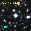 CD-47  4238