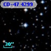CD-47  4299