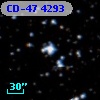 CD-47  4293
