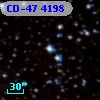 CD-47  4198
