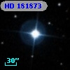 HD 181873