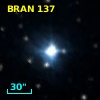 BRAN 137