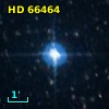 HD  66464