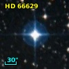 HD  66629
