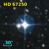 HD  67250