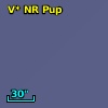 V* NR Pup