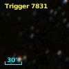 Trigger  7831
